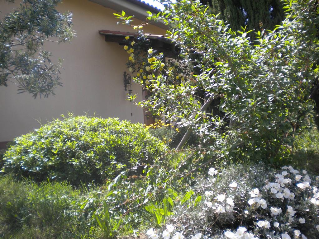 菲亚诺罗马诺Le Tre Querce住宿加早餐旅馆 外观 照片